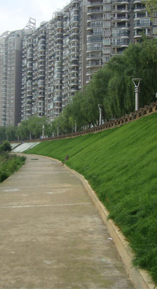河道及庫區(qū)邊坡整治及復(fù)綠